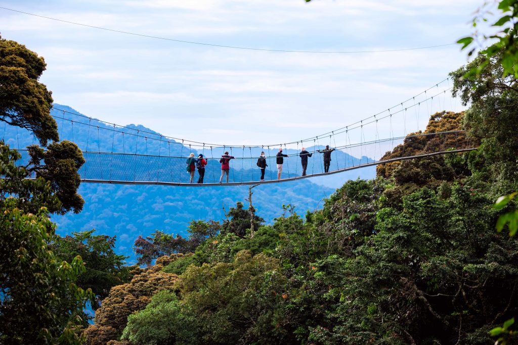 4 Days Chimpanzee Tracking and Canopy Walk Tour