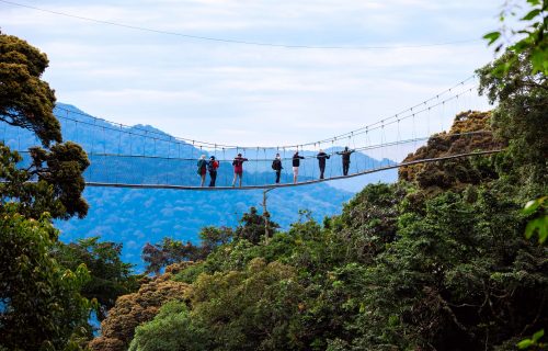 4 Days Chimpanzee Tracking and Canopy Walk Tour