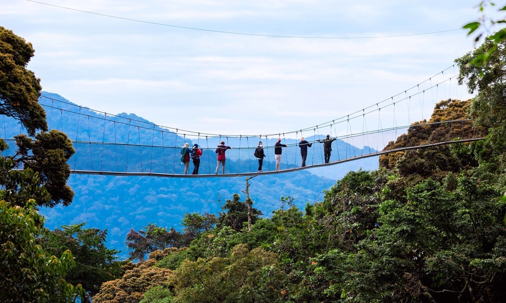 Nyungwe Forest National Park